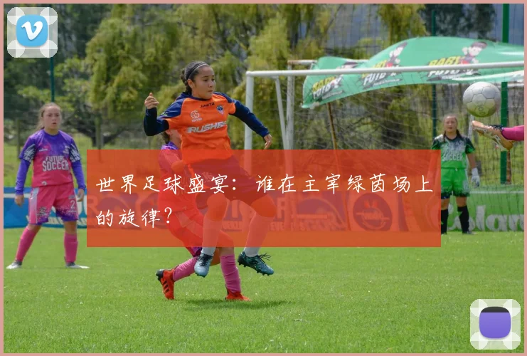 世界足球盛宴：谁在主宰绿茵场上的旋律？